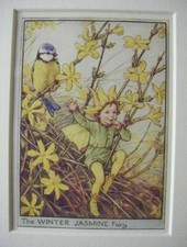 Vtg flower fairies for sale  TELFORD