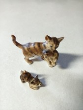 Tiny momma cat for sale  Hoxie