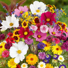 Wildflower mix country for sale  Sevierville