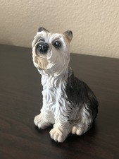 Darling schnauzer dog for sale  Saint George