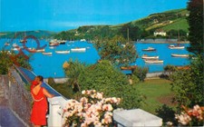 Picture postcard salcombe for sale  NEWCASTLE UPON TYNE
