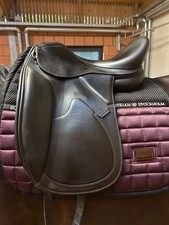Euroriding romulus dressursatt gebraucht kaufen  Aschaffenburg