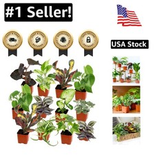 Elegant pack live for sale  San Jose