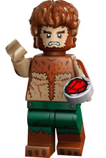 Lego figurine 71039 d'occasion  Nantes-