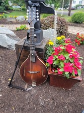 Eastman md305 mandolin for sale  Apalachin