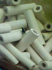 Tonröhrchen mini garnelen gebraucht kaufen  Lich