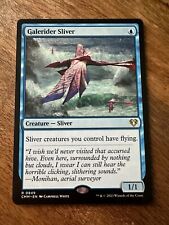 Galerider sliver windreiter gebraucht kaufen  Wolfsburg