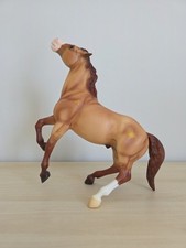 horse mustang for sale horse mustang for sale Osseo