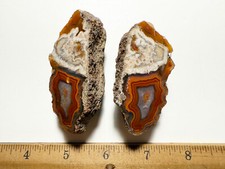 Montana dryhead agate for sale  Marysville