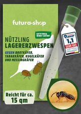 Schlupfwespen lagererzwespen b gebraucht kaufen  Borchen