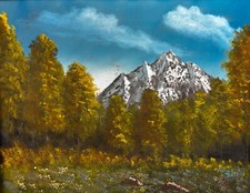 Spring blooms mountains for sale  Deposit