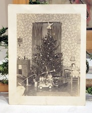 1940s tree room for sale  Princeton