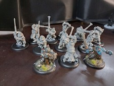 Warmachine hordes trollkin gebraucht kaufen  Münster