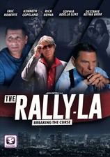 Rally dvd 2017 for sale Rally dvd 2017 for sale  SWANSEA