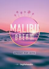 Big Fish Audio Malibu Dream: Upbeat Pop & RnB Kits DVD WAV/REX/Apple Loops comprar usado  Enviando para Brazil