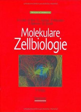 Molekulare zellbiologie lodish gebraucht kaufen  Berlin