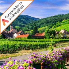 Kurzreise elsass tage gebraucht kaufen  Köln