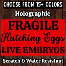 Live egg embryos for sale  Mount Morris