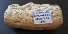 Collection prehistoire fossile d'occasion  Expédié en France