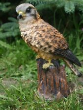 Falke adler deko gebraucht kaufen  Wesel