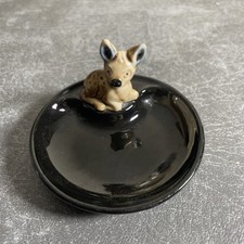 Wade baby fawn for sale  GAINSBOROUGH