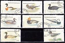 1978 - GUINEA ECUATORIAL - AVES ACUATICAS segunda mano  Embacar hacia Argentina