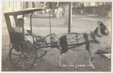 1919 goat cart for sale  Lafayette