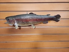 Jbh12 trout fish for sale  Hill City