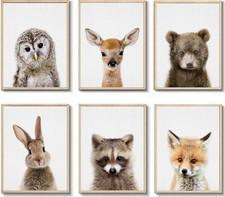 Baby animal posters for sale  Denver