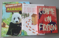 Lot jeunesse livre d'occasion  Thorigné-Fouillard