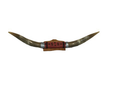 Mounted steer horns for sale  Palmdale