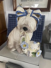Merrymac collection petigree for sale  Otterville