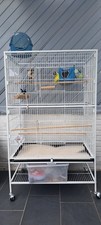 Großen vogelkäfig 132 gebraucht kaufen  Nordhorn