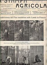 Stampa agricola pino usato  Italia