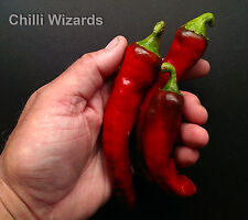 Chilli seeds new for sale  LIVERSEDGE