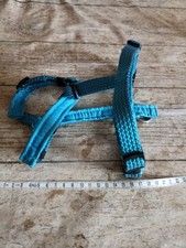 Hundegeschirr anione gebraucht kaufen  Steinsfeld