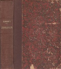 Compendio zoologia. carlo usato  Italia
