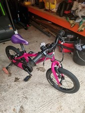 Cuda trace girls for sale Cuda trace girls for sale  BLACKBURN