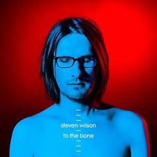 Steven wilson the gebraucht kaufen  Berlin