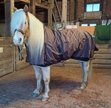 regendecke fleece gebraucht kaufen regendecke fleece gebraucht kaufen Grevenbroich