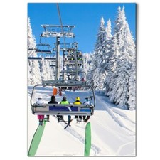 Ski resort snow for sale  SELBY