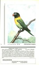 Publicité ancienne pharmaceut d'occasion  France