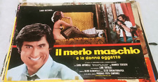 Merlo maschio lando usato  Roma