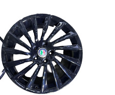 Cerchi neri alfa usato  Massa di Somma