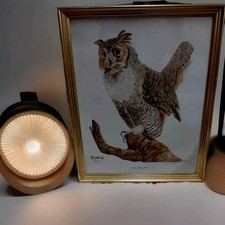 Vintage lithograph owl for sale  Columbia