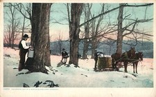 Maple sugar camp for sale  Framingham