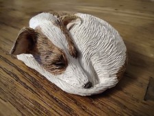 Sandicast whippet curled d'occasion  Expédié en Belgium