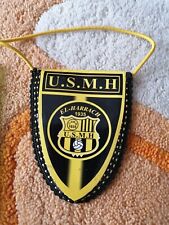 Gagliardetto small calcio usato  Viareggio