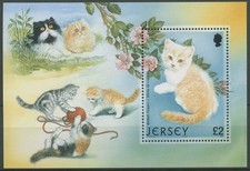 Jersey 2002 katzen gebraucht kaufen  Gleichen