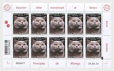Monaco 2024 cats d'occasion  Lille-